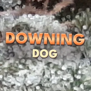 Downing Dog Cannabis Strain