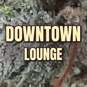 Downtown Lounge Cannabis Strain