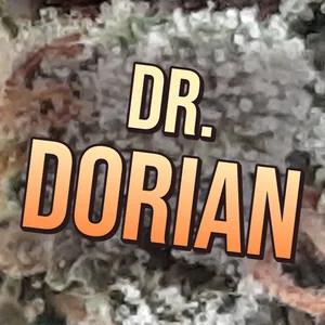 Dr. Dorian Cannabis Strain