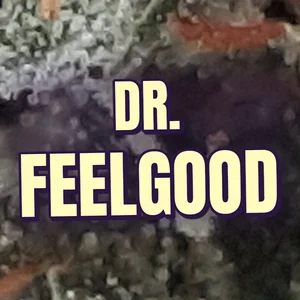 Dr. Feelgood Cannabis Strain