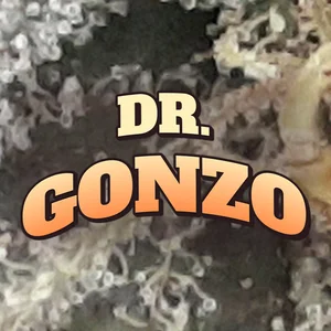 Dr. Gonzo Cannabis Strain