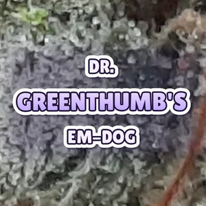 Dr. Greenthumb's Em-Dog Cannabis Strain