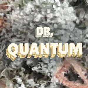 Dr. Quantum Cannabis Strain