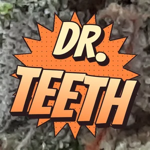 Dr. Teeth Cannabis Strain
