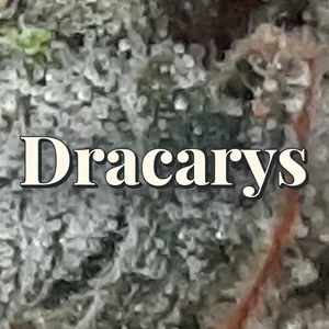 Dracarys Cannabis Strain