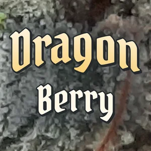 Dragon Berry Cannabis Strain