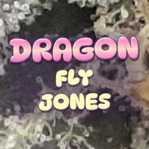 Dragon Fly Jones Cannabis Strain
