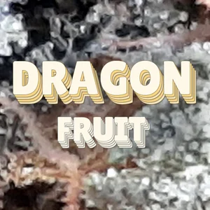 Dragon Fruit Cannabis Strain