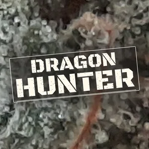 Dragon Hunter Cannabis Strain