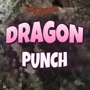 Dragon Punch Cannabis Strain