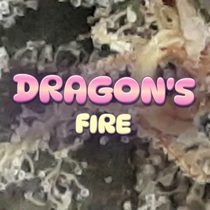 Dragon's Fire Cannabis Strain