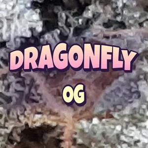 Dragonfly OG Cannabis Strain