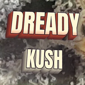 Dready Kush Cannabis Strain