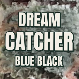 Dream Catcher Blue Black Cannabis Strain