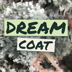 Dream Coat Cannabis Strain