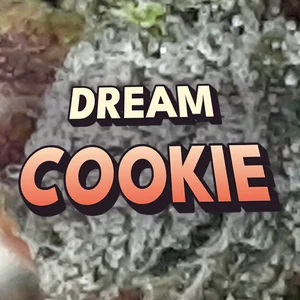 Dream Cookie Cannabis Strain