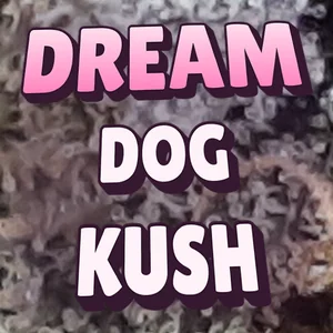 Dream Dog Kush Cannabis Strain