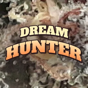 Dream Hunter Cannabis Strain