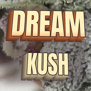Dream Kush Cannabis Strain