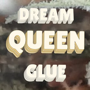Dream Queen Glue Cannabis Strain