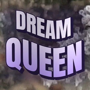Dream Queen Cannabis Strain