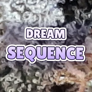 Dream Sequence Cannabis Strain