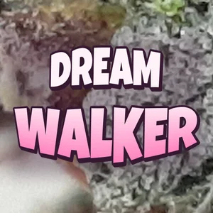 Dream Walker Cannabis Strain