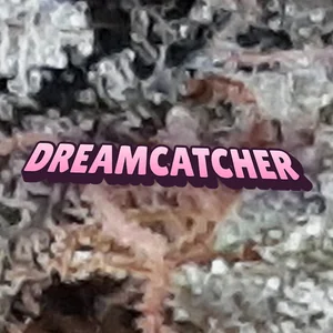 Dreamcatcher Cannabis Strain
