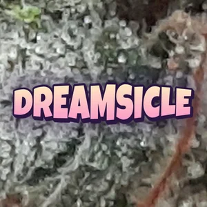 Dreamsicle Cannabis Strain