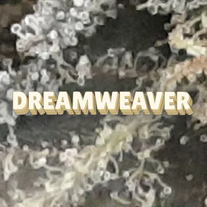 Dreamweaver Cannabis Strain