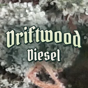 Driftwood Diesel Cannabis Strain
