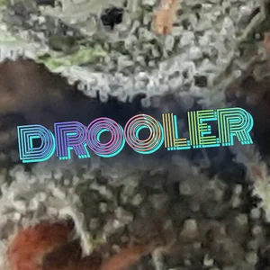 Drooler Cannabis Strain