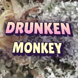 Drunken Monkey Cannabis Strain