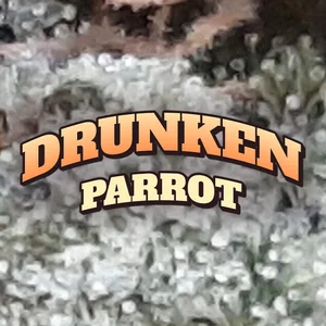 Drunken Parrot Cannabis Strain