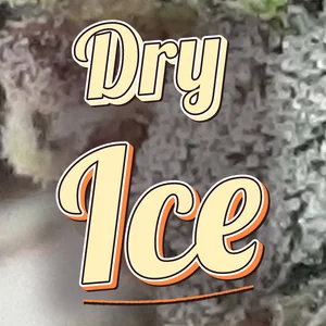 Dry Ice Cannabis Strain