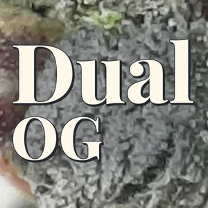 Dual OG Cannabis Strain