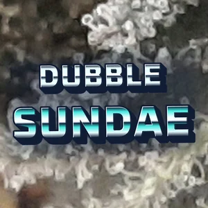 Dubble Sundae Cannabis Strain