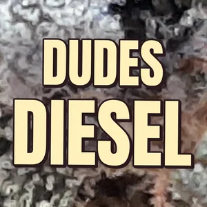 Dudes Diesel Cannabis Strain