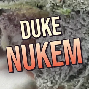 Duke Nukem Cannabis Strain