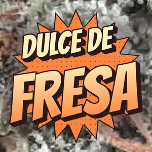 Dulce de Fresa Cannabis Strain