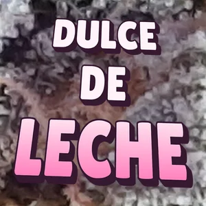 Dulce de Leche Cannabis Strain