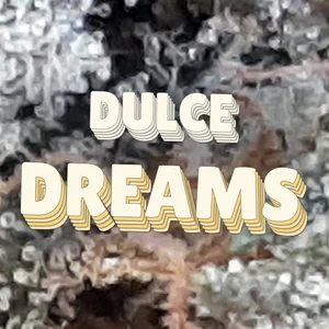 Dulce Dreams Cannabis Strain