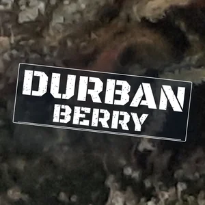 Durban Berry Cannabis Strain
