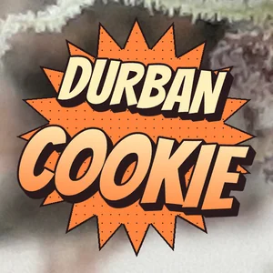 Durban Cookie Cannabis Strain