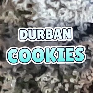 Durban Cookies Cannabis Strain