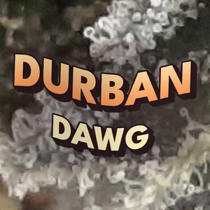 Durban Dawg Cannabis Strain