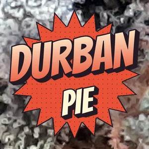 Durban Pie Cannabis Strain