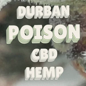 Durban Poison CBD Hemp Cannabis Strain