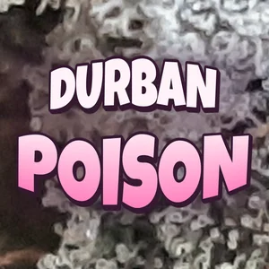 Durban Poison Cannabis Strain