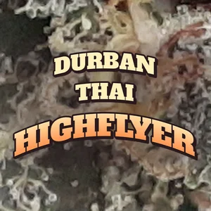 Durban Thai Highflyer Cannabis Strain